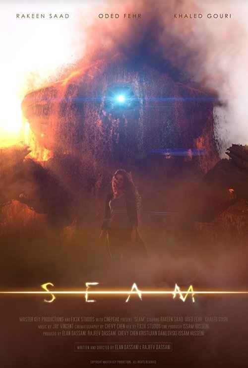 Seam movie poster