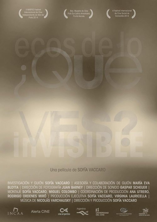 Poster do filme ¿Qué ves? Ecos de lo invisible