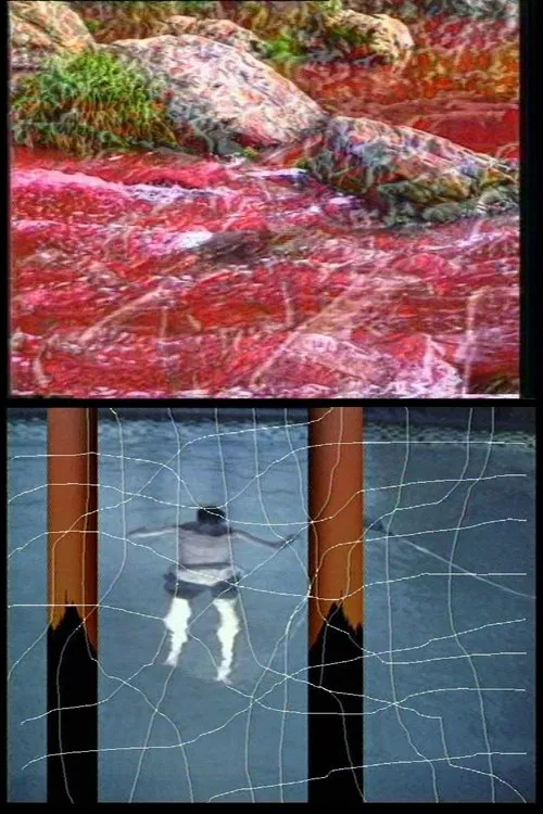 Navigations movie poster