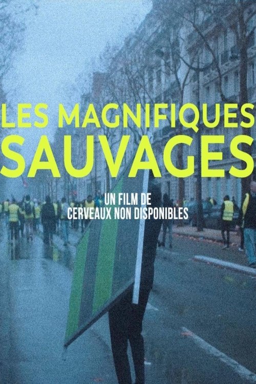 Les Magnifiques sauvages movie poster