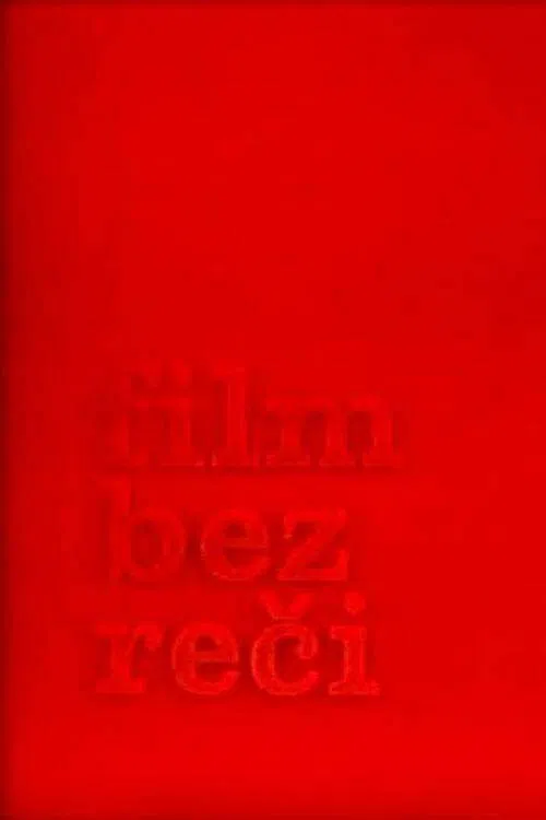 Poster do filme Without a Word