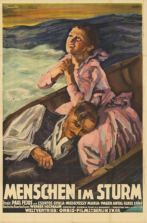 The Waters Decide movie poster
