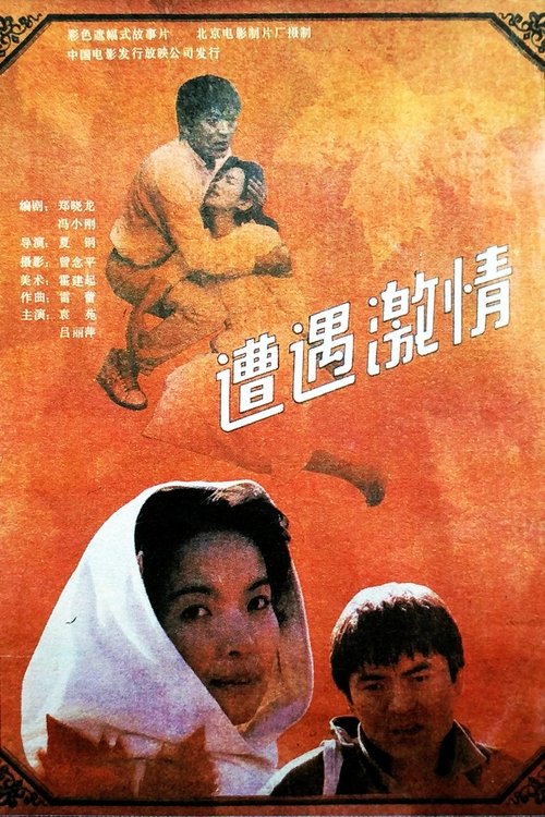 遭遇激情 movie poster