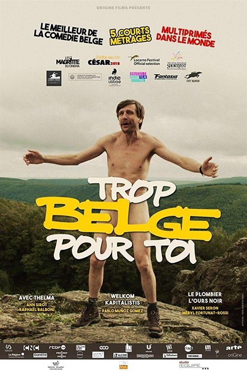 Trop belge pour toi movie poster