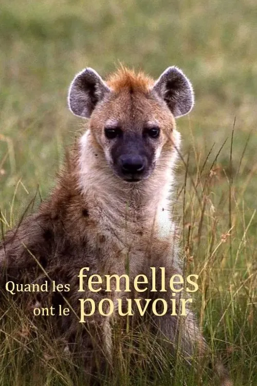 Quand les femelles ont le pouvoir movie poster