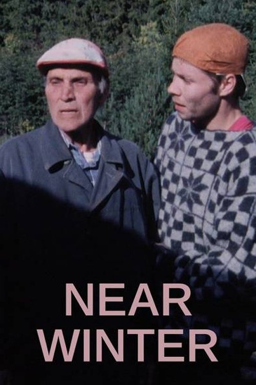 Near Winter movie poster