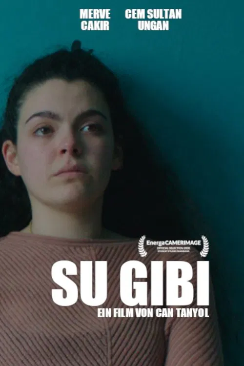 Su Gibi movie poster