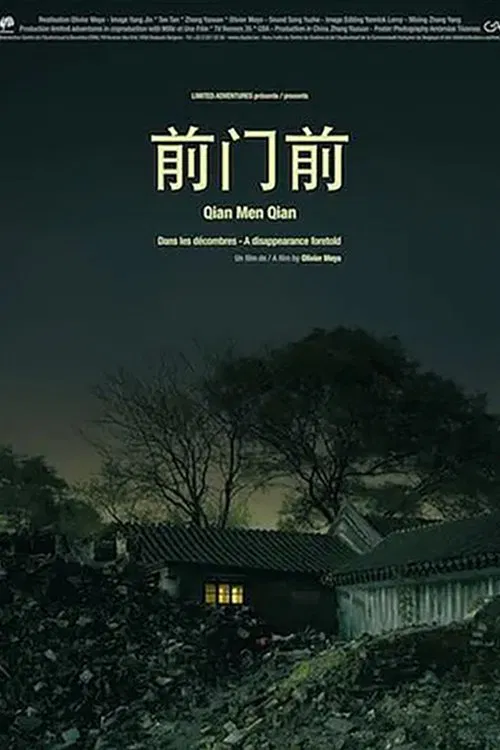 A Disappearance Foretold movie poster