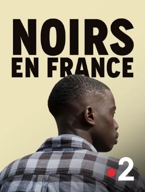Poster do filme Noirs en France