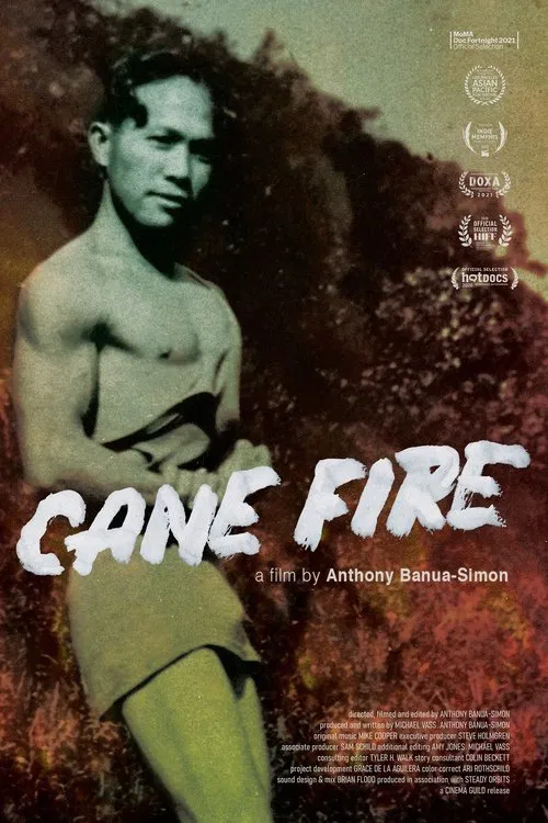Cane Fire movie poster