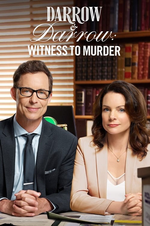 Darrow & Darrow: Witness to Murder movie poster