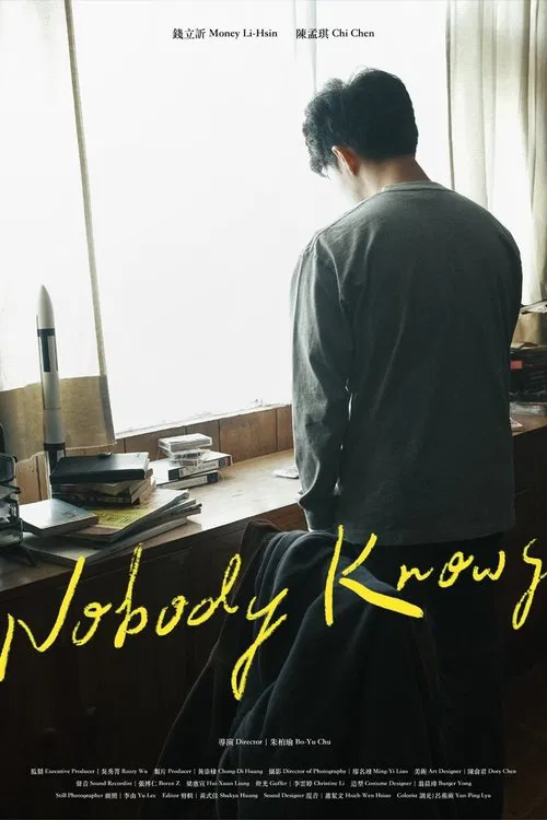 Nobody Knows movie poster