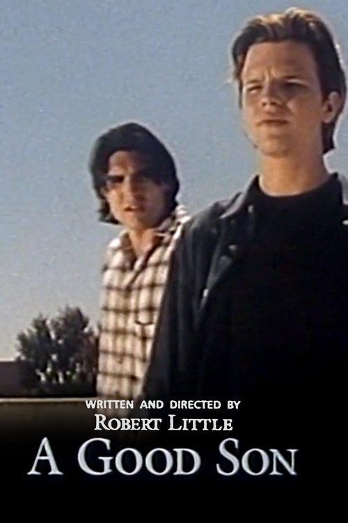 A Good Son movie poster