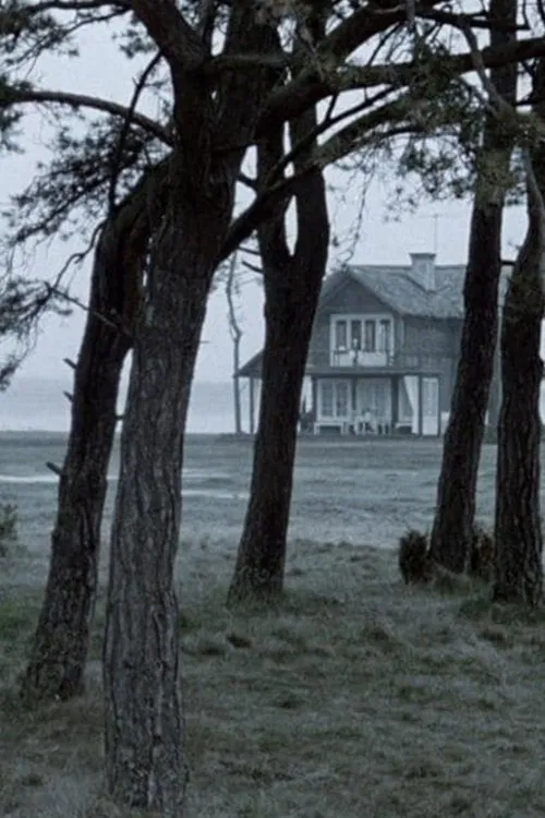 Let Me See movie poster