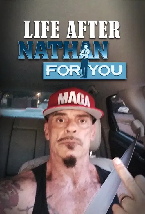Life After Nathan For You movie poster