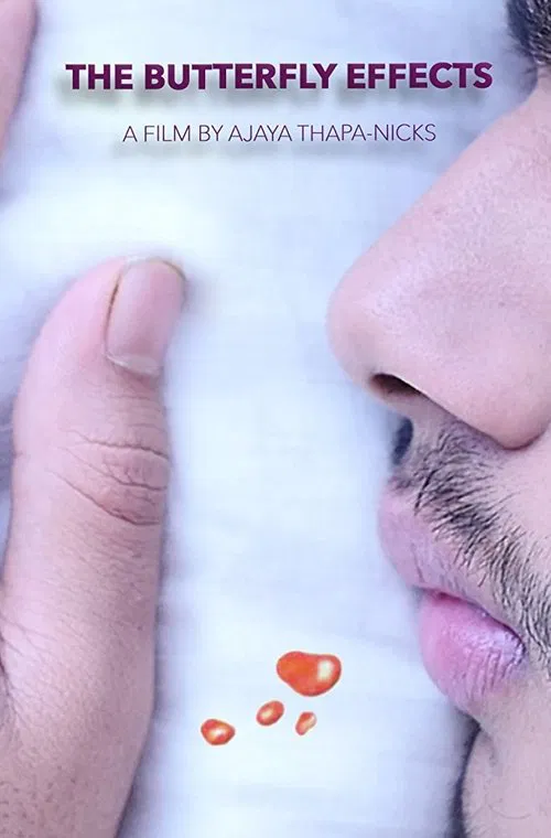 The Butterfly Effects movie poster