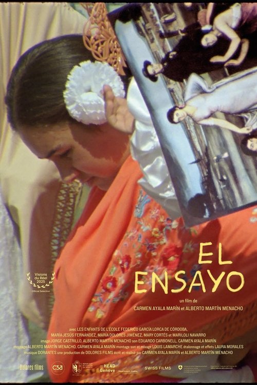 The Essay movie poster