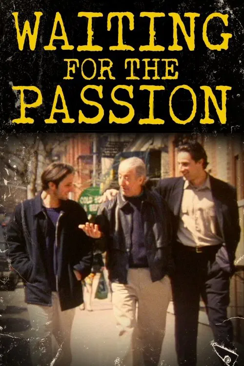 Waiting for the Passion movie poster