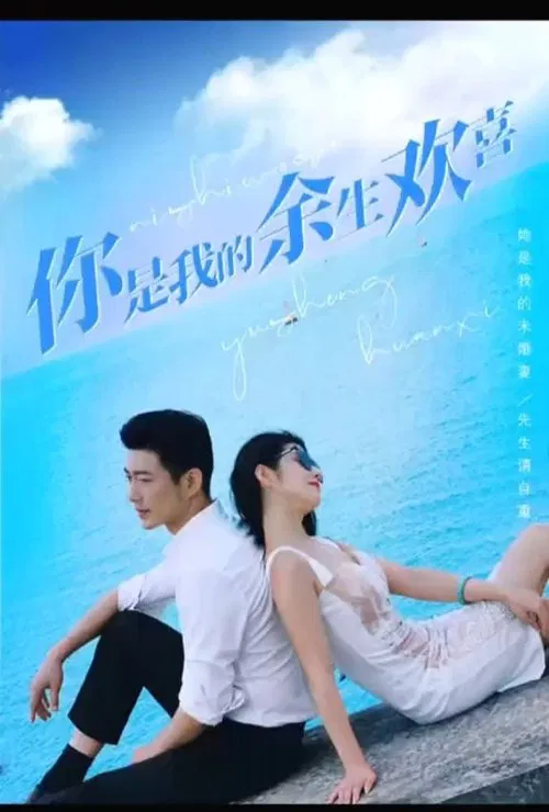 你是我的余生欢喜 tv show poster