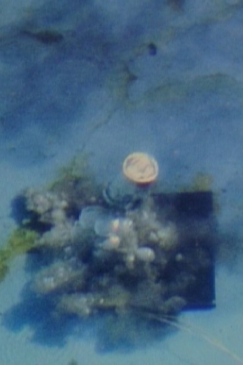 Contained Under Water movie poster