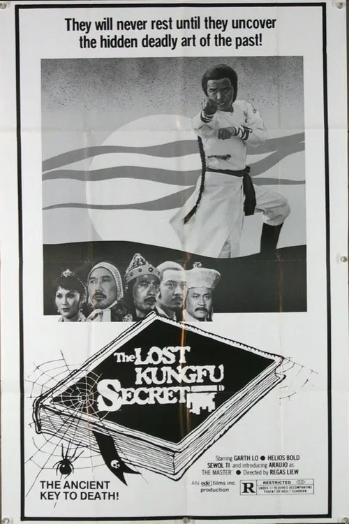 The Lost Kung Fu Secrets movie poster