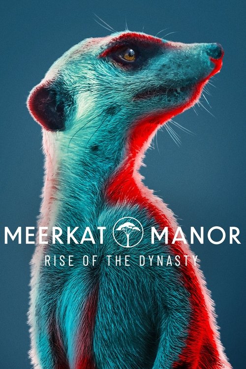 Meerkat Manor: Rise of the Dynasty tv show poster