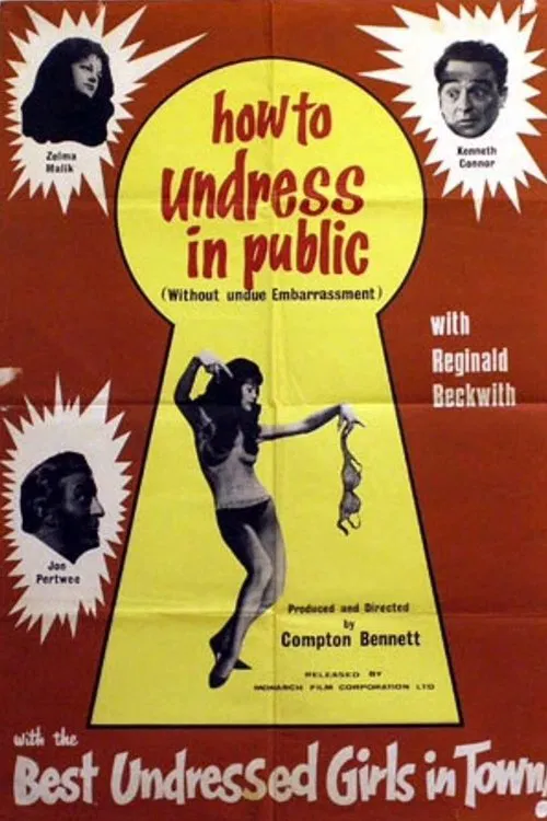How to Undress in Public Without Undue Embarrassment movie poster