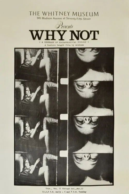 Why Not: A Serenade of Eschatological Ecology movie poster