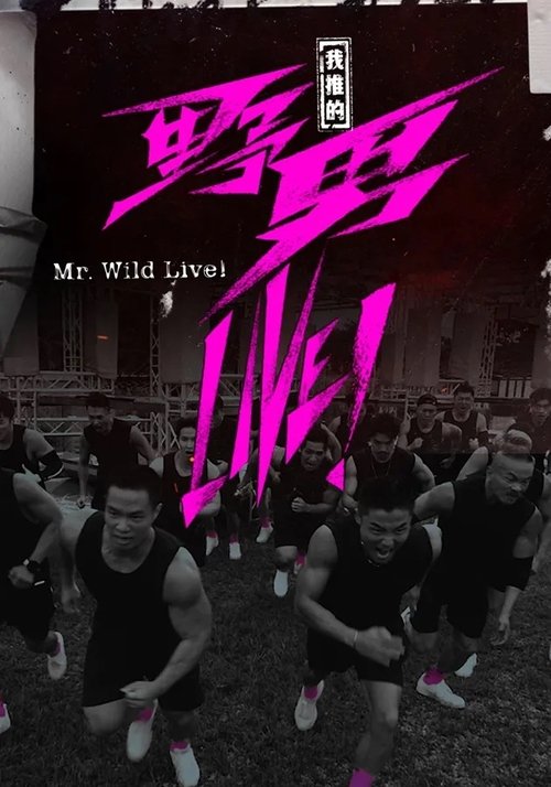 我推的野男LIVE! tv show poster