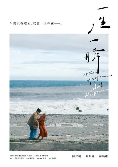The Happened Won't Disappear movie poster