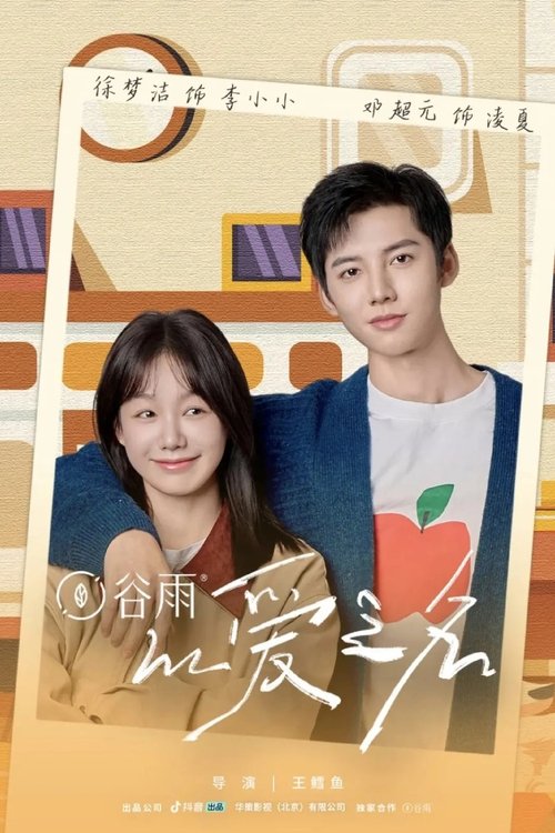Poster da série 以爱之名