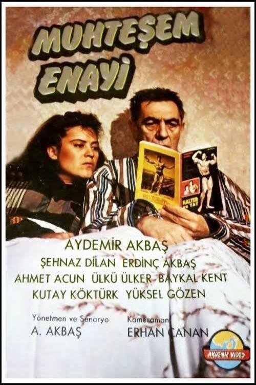 Muhteşem Enayi movie poster