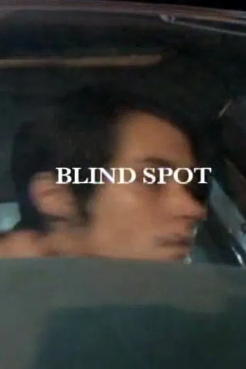 Blind Spot movie poster
