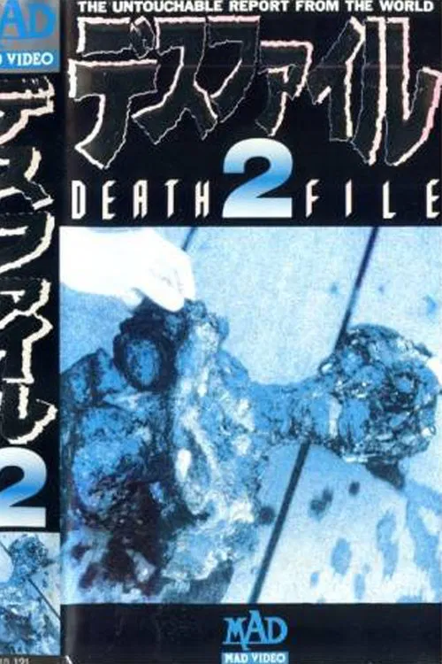 Death File 2 movie poster