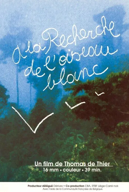 A la recherche de l'oiseau blanc movie poster