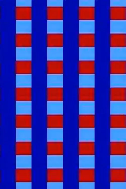 Video Ravingz movie poster