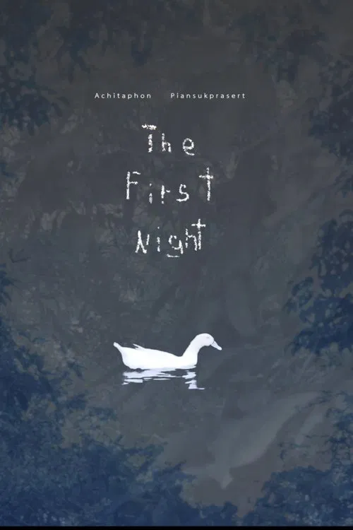 The First Night movie poster