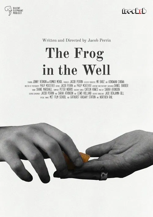 The Frog in The Well movie poster
