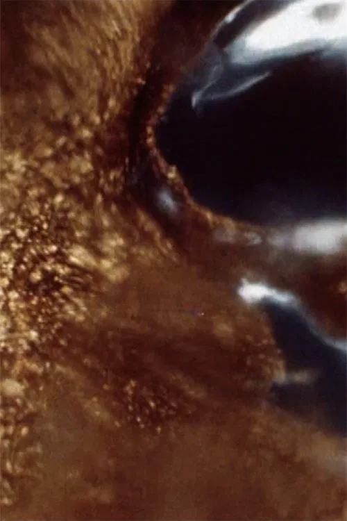 Black Ice movie poster