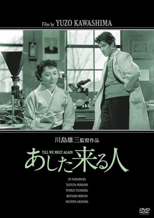Till We Meet Again movie poster