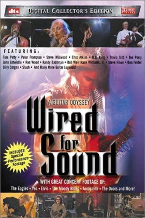 Wired for Sound: A Guitar Odyssey movie poster
