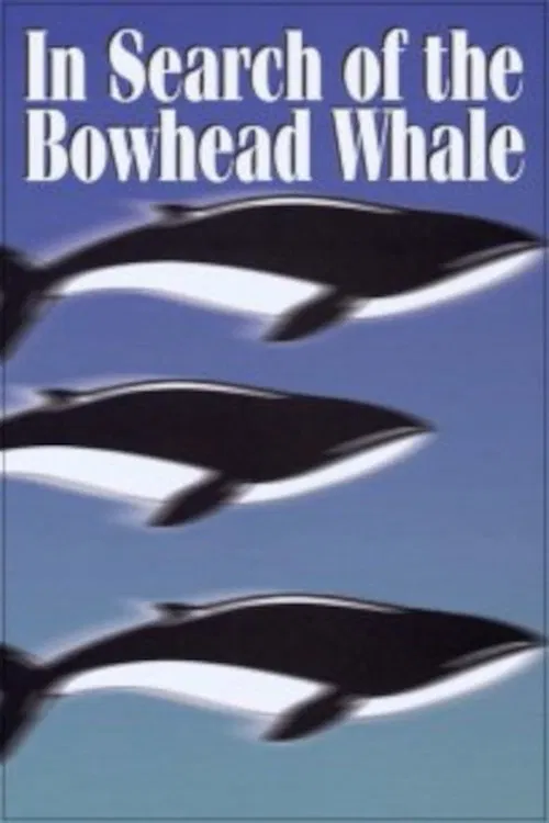 In Search of the Bowhead Whale movie poster