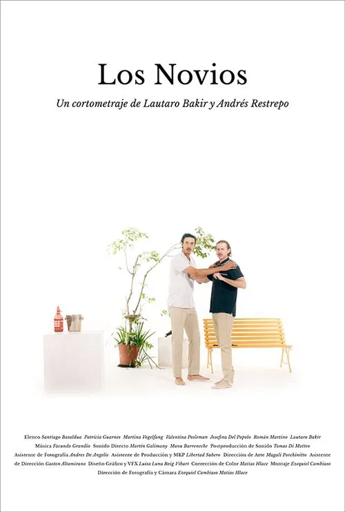The boyfriends movie poster