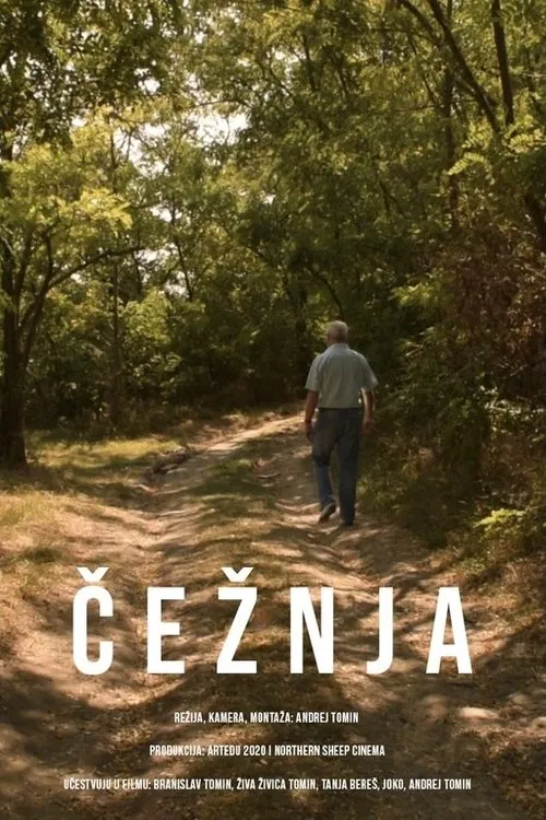 Longing movie poster