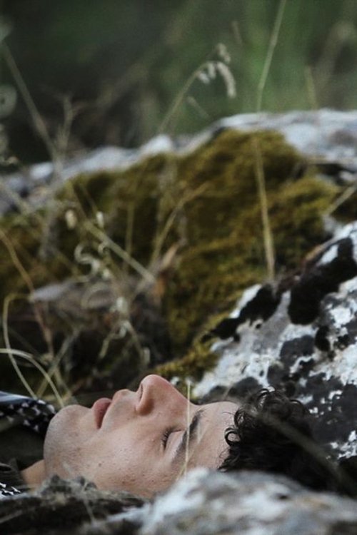 Meanwhile movie poster