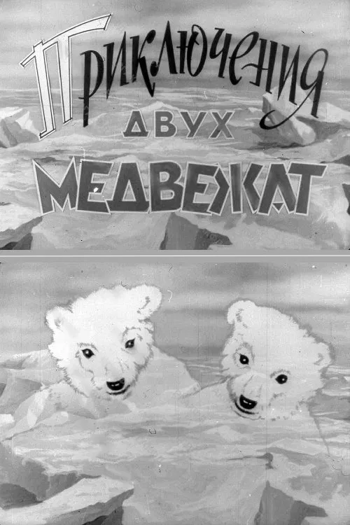 Adventures of Two Bear Cubs movie poster