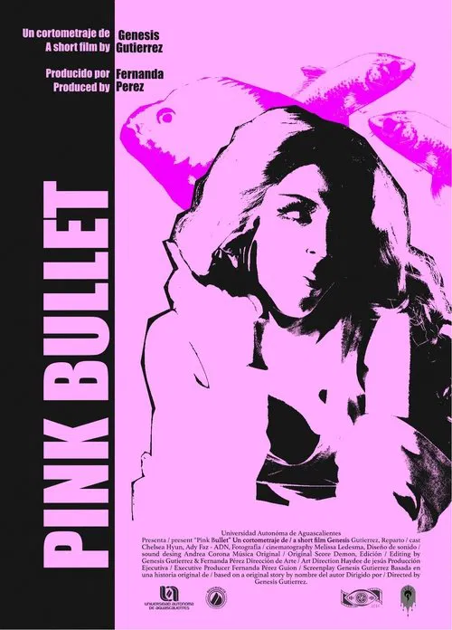 PINK BULLET movie poster