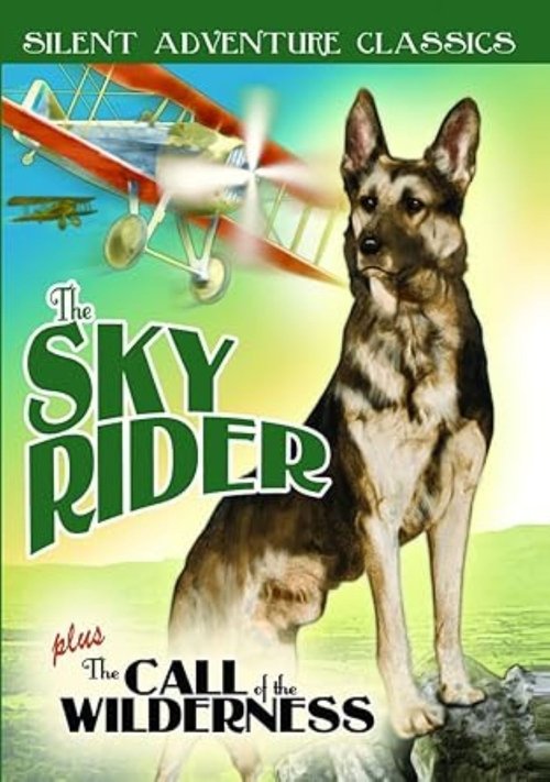 The Sky Rider movie poster