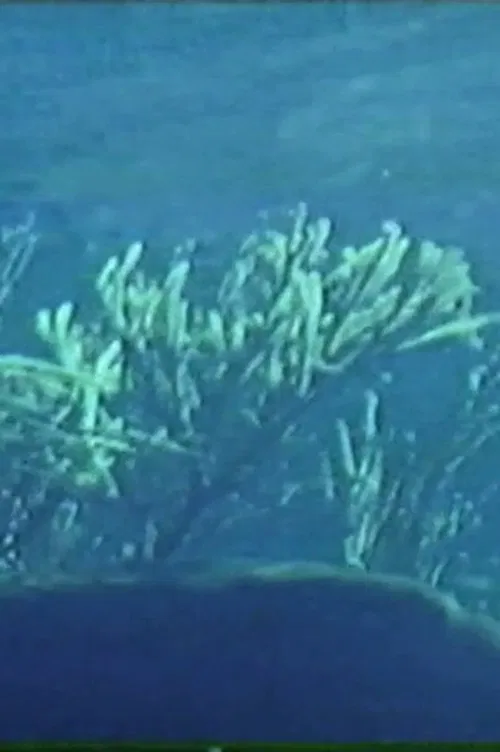 Poster do filme Canto Arquipélago