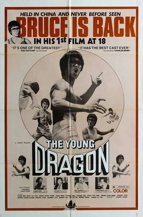 Poster do filme Young Dragon
